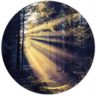 Muurcirkel hout Dibond/Forex