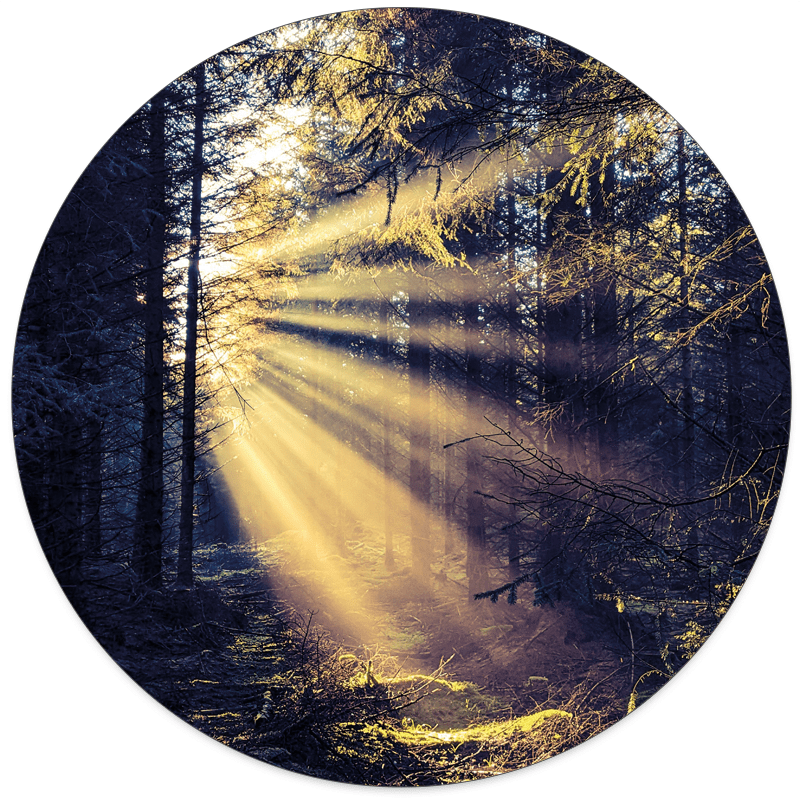 Muurcirkel hout Dibond/Forex
