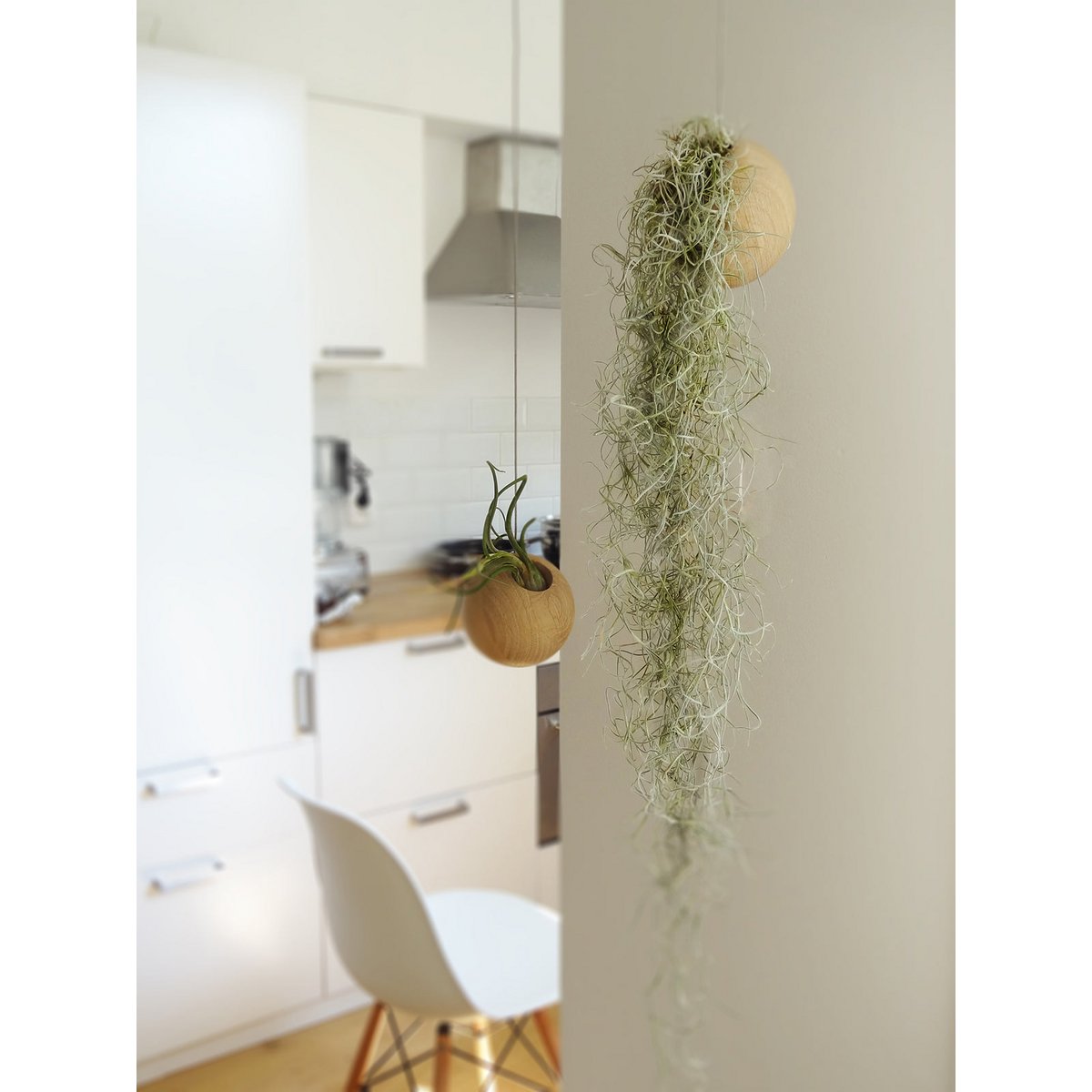 Hangbol licht eiken Ø10 cm