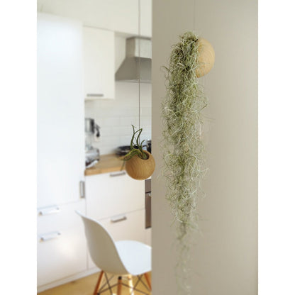 Hangbol licht eiken Ø10 cm