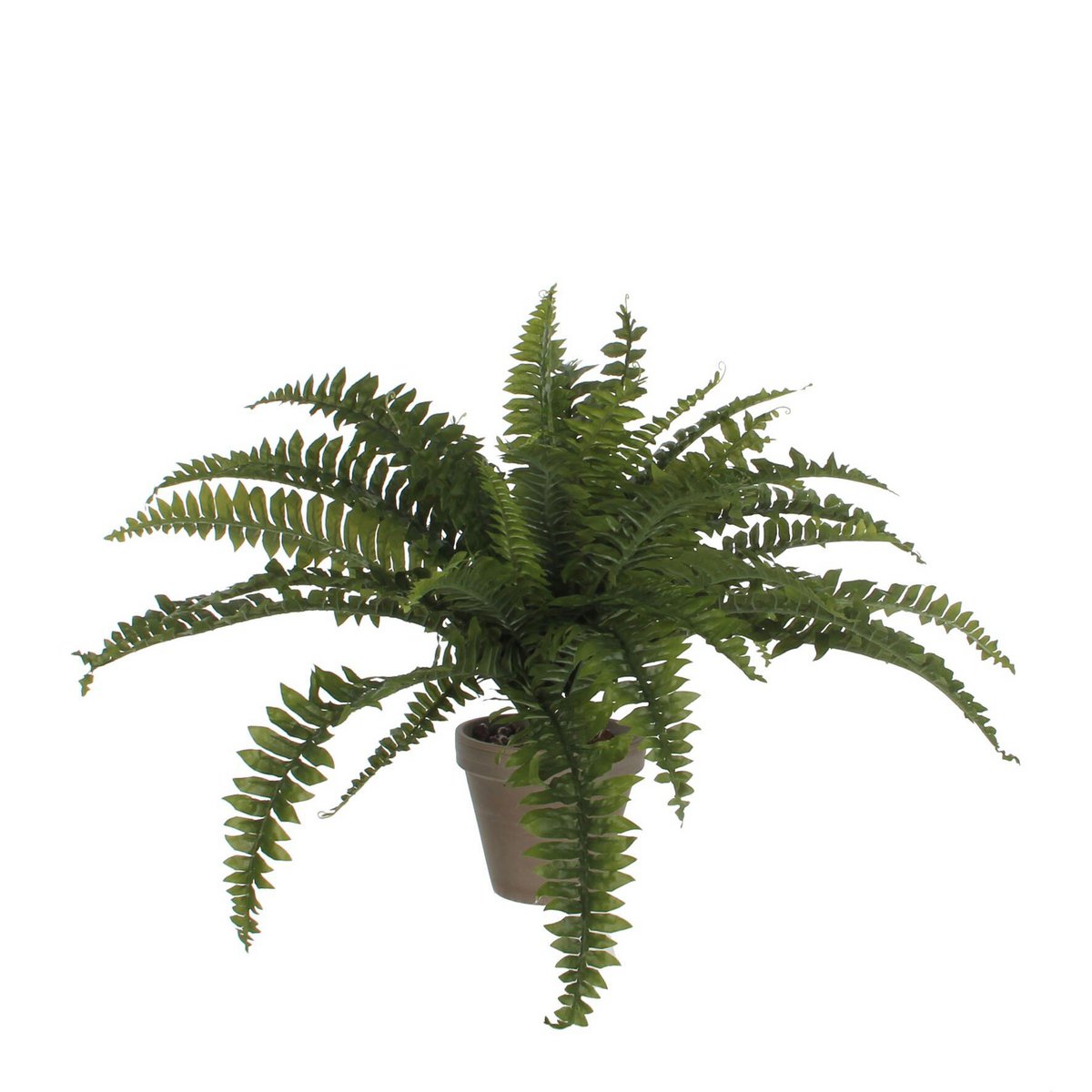 Kunstplant varen groen 70x45x70 cm