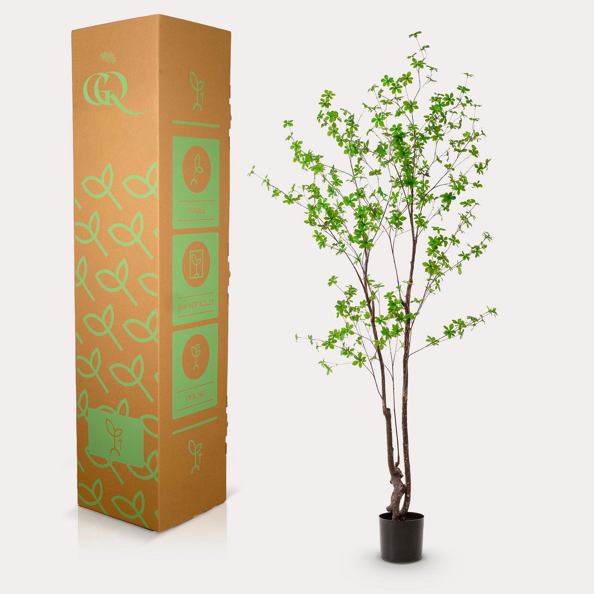 Kunstplant Tropaeolum Speciosum 210 cm groen