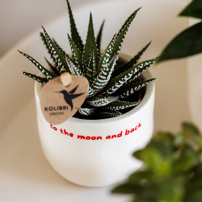 Decorative Pot White with 'To the moon and back' Text (Ø9 cm)