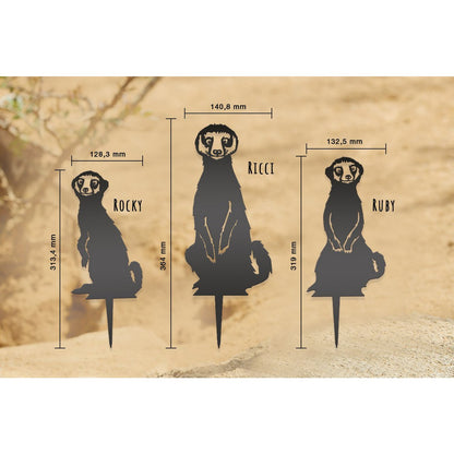 Geluksdieren Stokstaartjes Familie Ricci Ruby Rocky Set 3