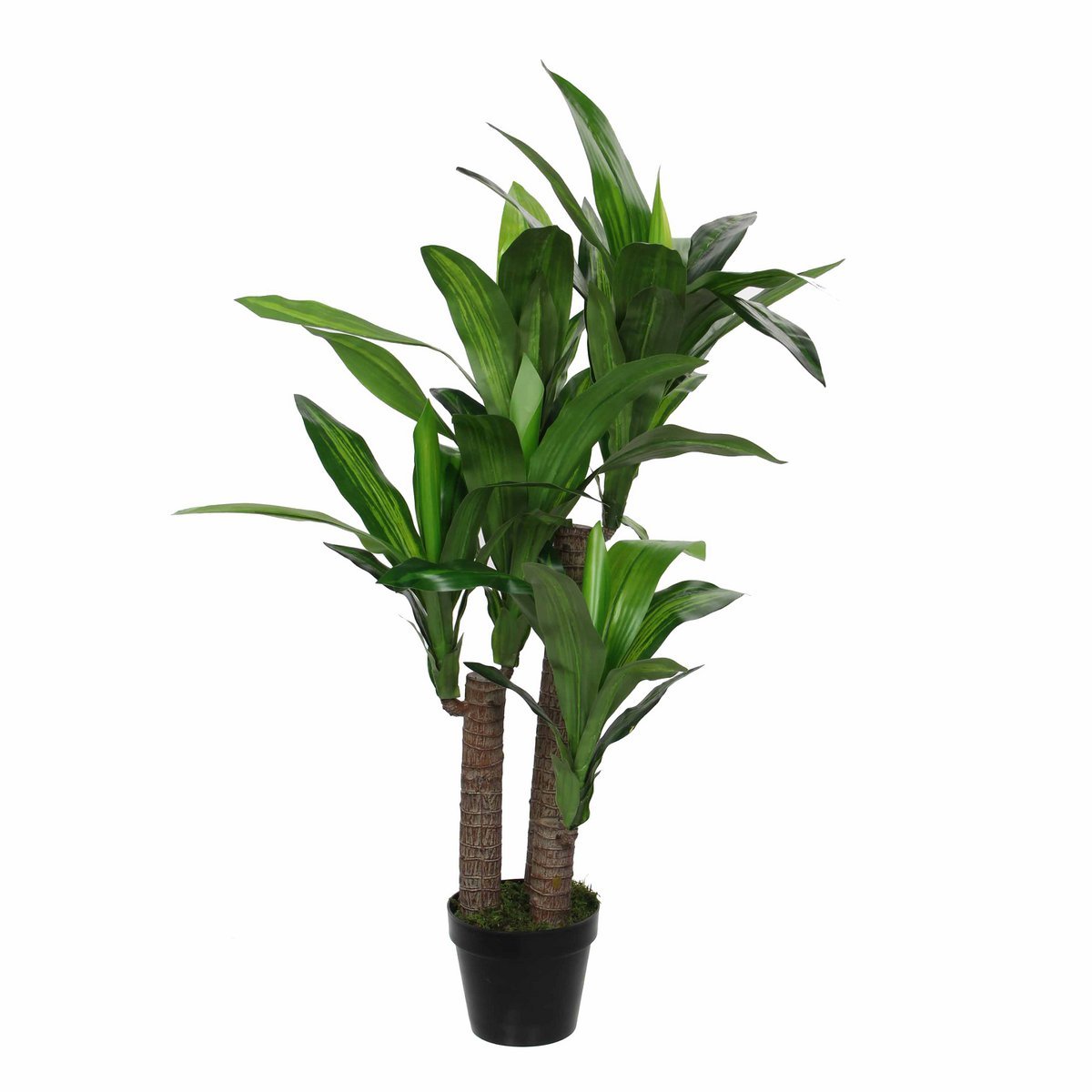Dracaena Kunstplant H110 D60 Cm Onderhoudsvriendelijk
