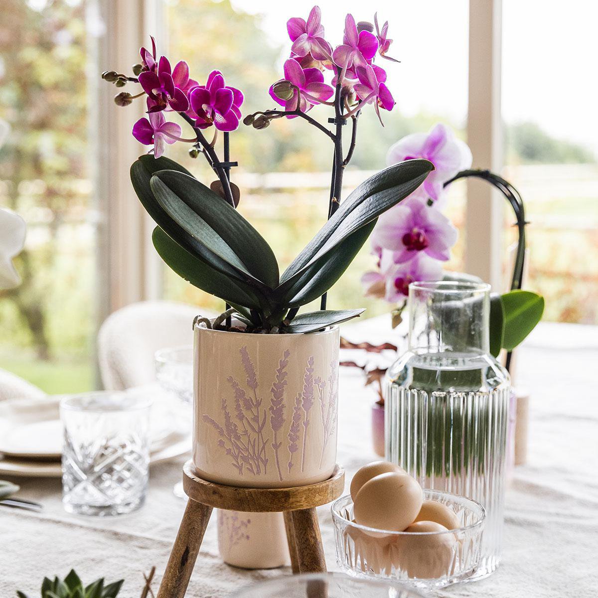 Bloempot 9 cm lavendel