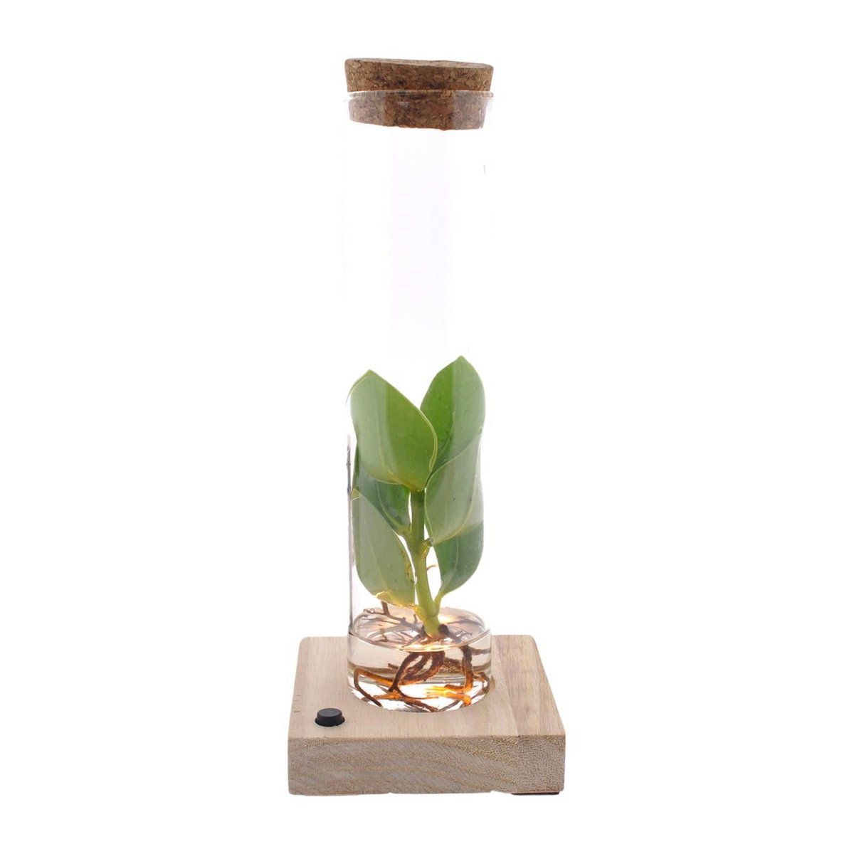 Lock In Glass Tube + LED - Ø5cm - ↕10cm