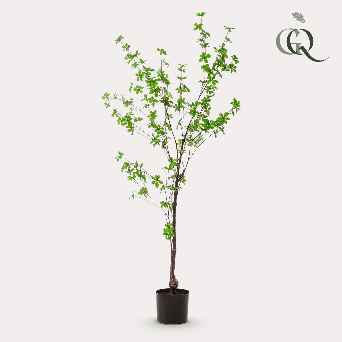 Kunstplant Oost Indische Kers 150 cm