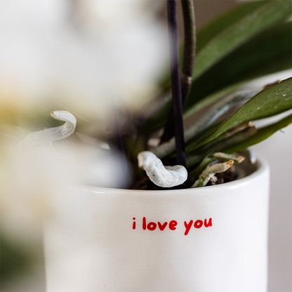 Decorative pot 'I love you' ceramic Ø9 cm
