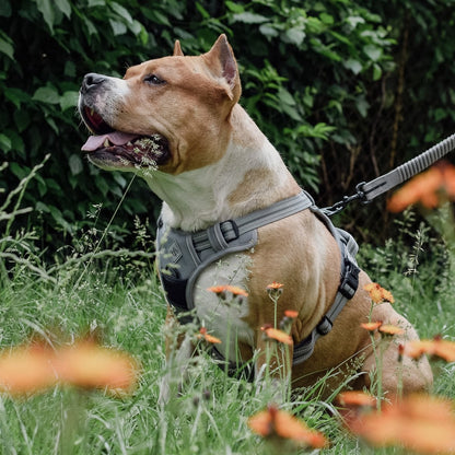 ne&no® Dog Harness with Matching Shock Absorber [DEVELOPED by NE&NO]