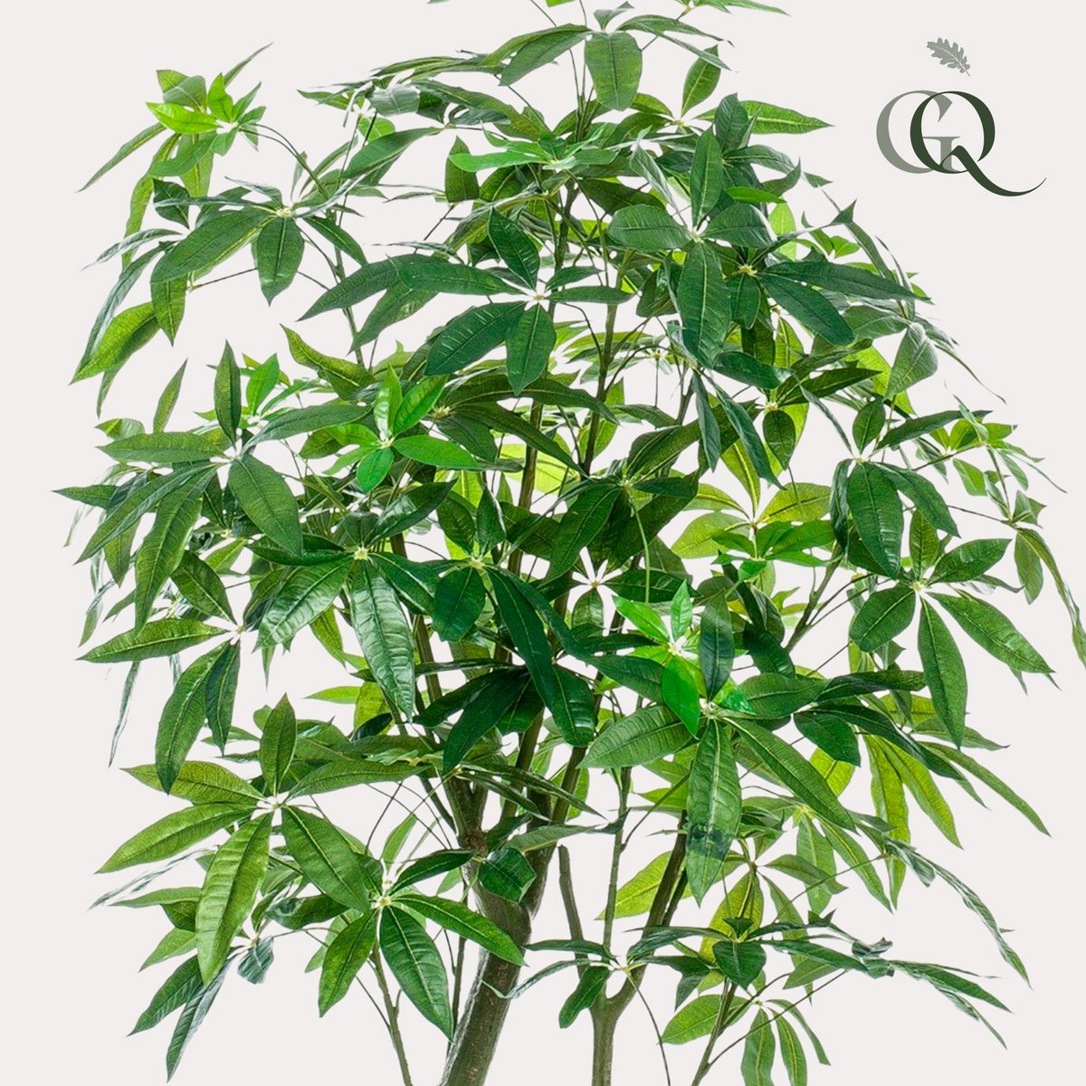 Kunstplant Geldboom Pachira Aquatica 180 cm groen