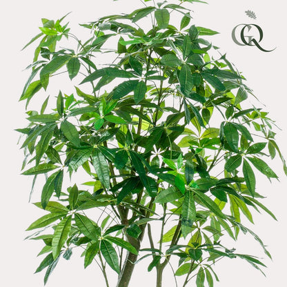 Kunstplant Geldboom Pachira Aquatica 180 cm groen