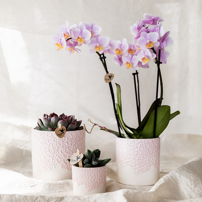 Bloempot set roze 3 maten 6 9 12 cm