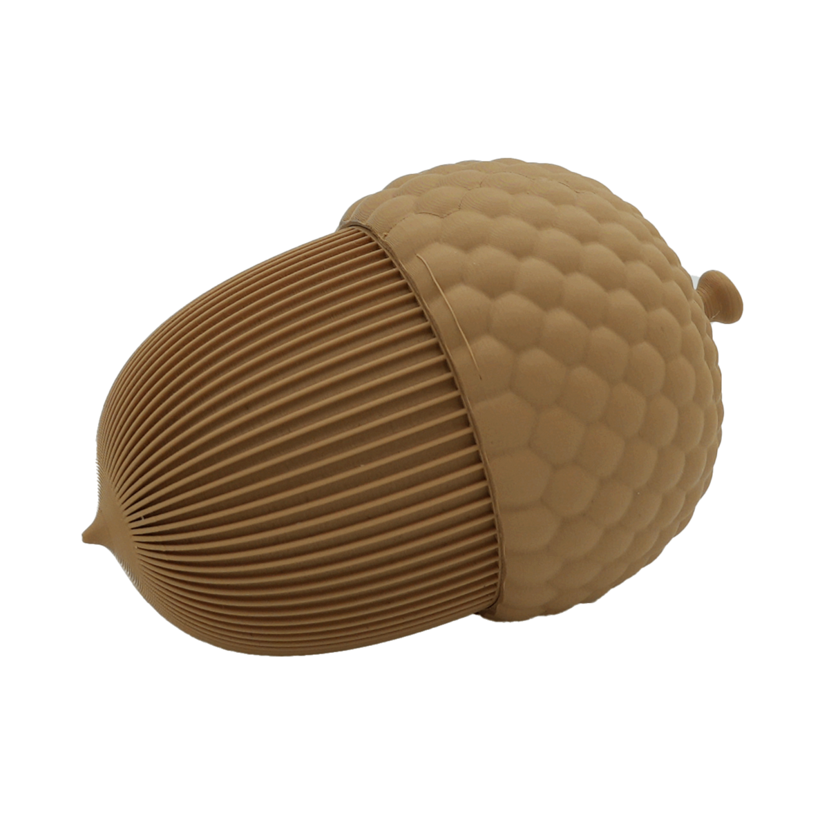 Autumn acorn