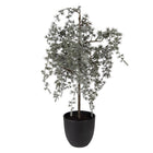 Artificial plant 30x30x60 cm Green Plastic