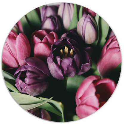 Muurcirkel tulpen Dibond 3 mm