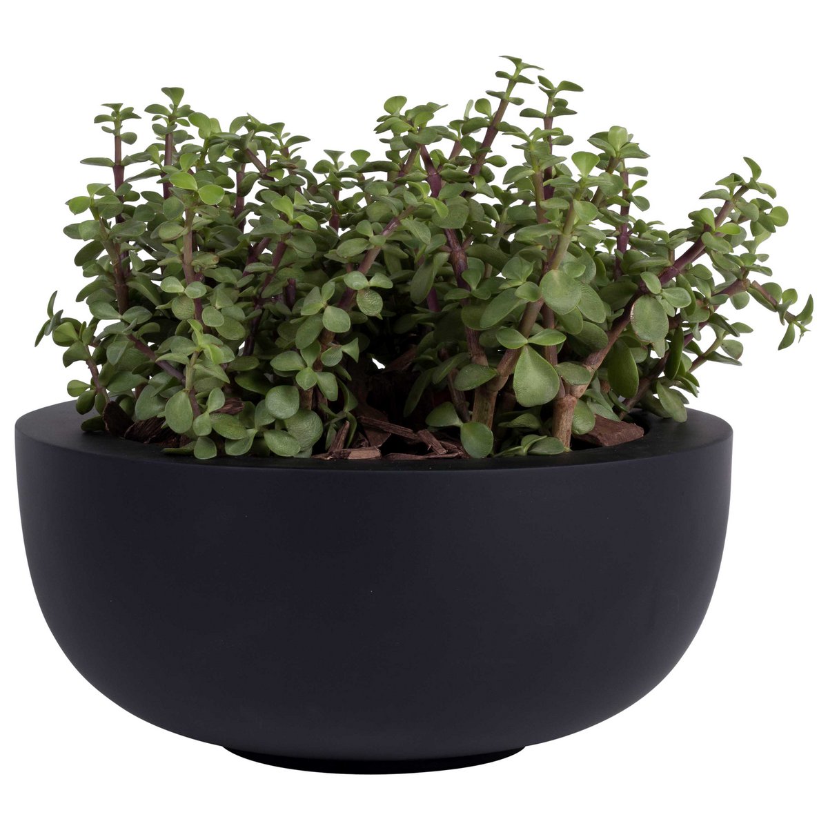 Plantenpot Ø33x15 cm glasvezel zwart set van 2