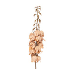 Kunstbloem 100 cm Bruin Kunststof