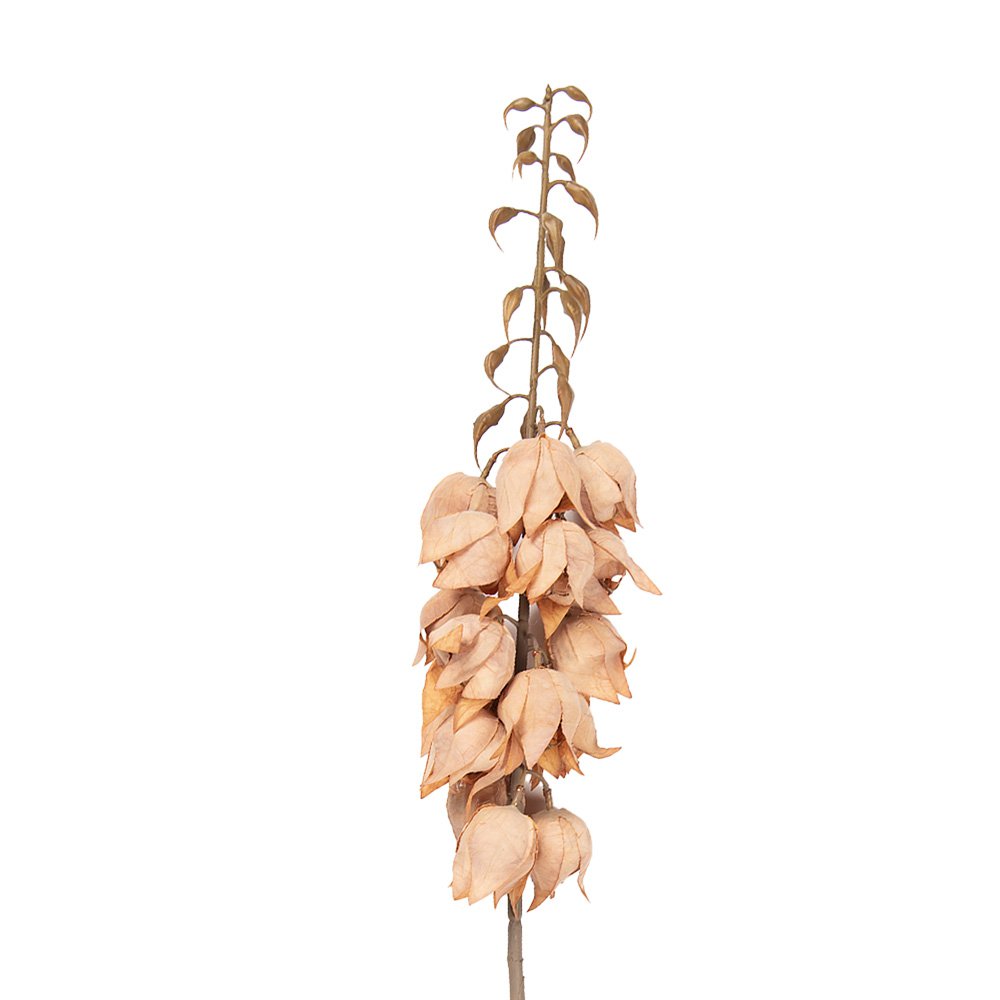 Kunstbloem 100 cm Bruin Kunststof