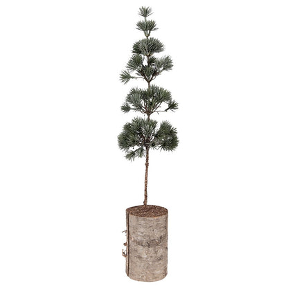 Mini Kunstkerstboom 14x14x60 cm Groen Hout