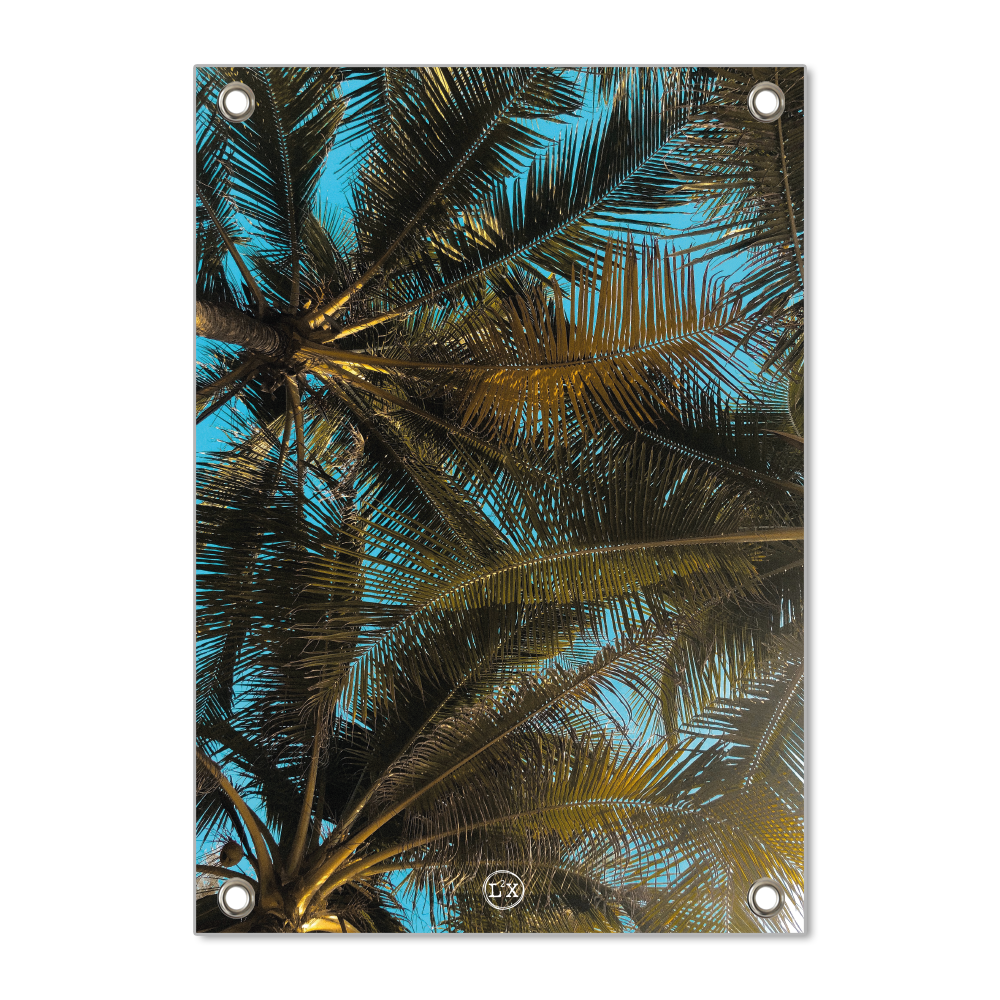 Tuinposter palm
