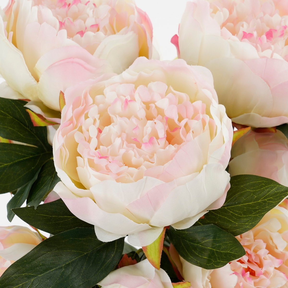 Bouquet Peony Light Pink
