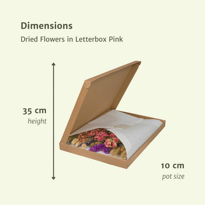 Dried flowers in a mailbox multi - pink