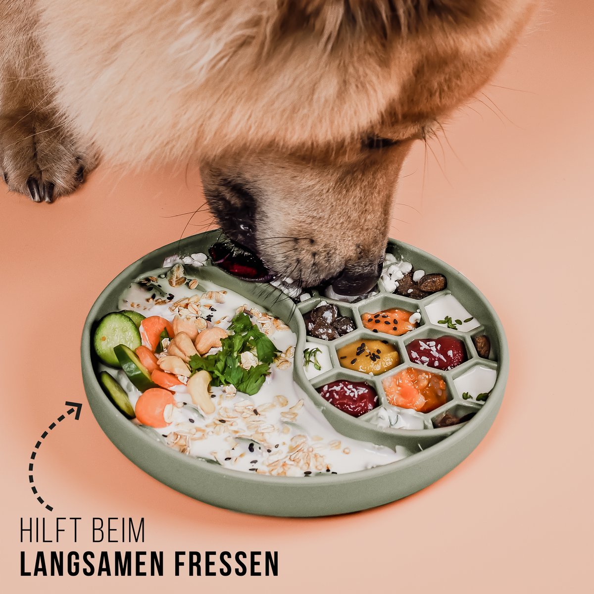 ne&no® Anti-Slopping Feeding Bowl for Dogs and Cats