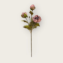 Kunstbloem pioenroos bruin 53 cm