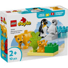 Lego Duplo 10442 Wilde Dieren Pinguïns Leeuwen