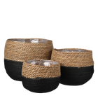 Plantenmand set van 3 zwart H24 x Ø26 cm zeegras