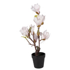 Artificial tree Magnolia 12x12x40 cm White Plastic