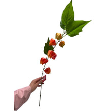 Kunstbloem Physalis Peruviana oranje 95 cm