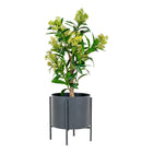 Kunstplant Skimmiaboom 75 cm groen PE-kunststof