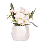 Witte orchidee 'Nazaré' pot Ø9cm