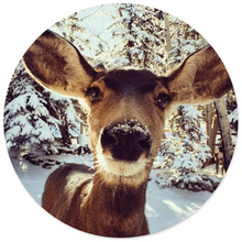 Wall circle deer in snow