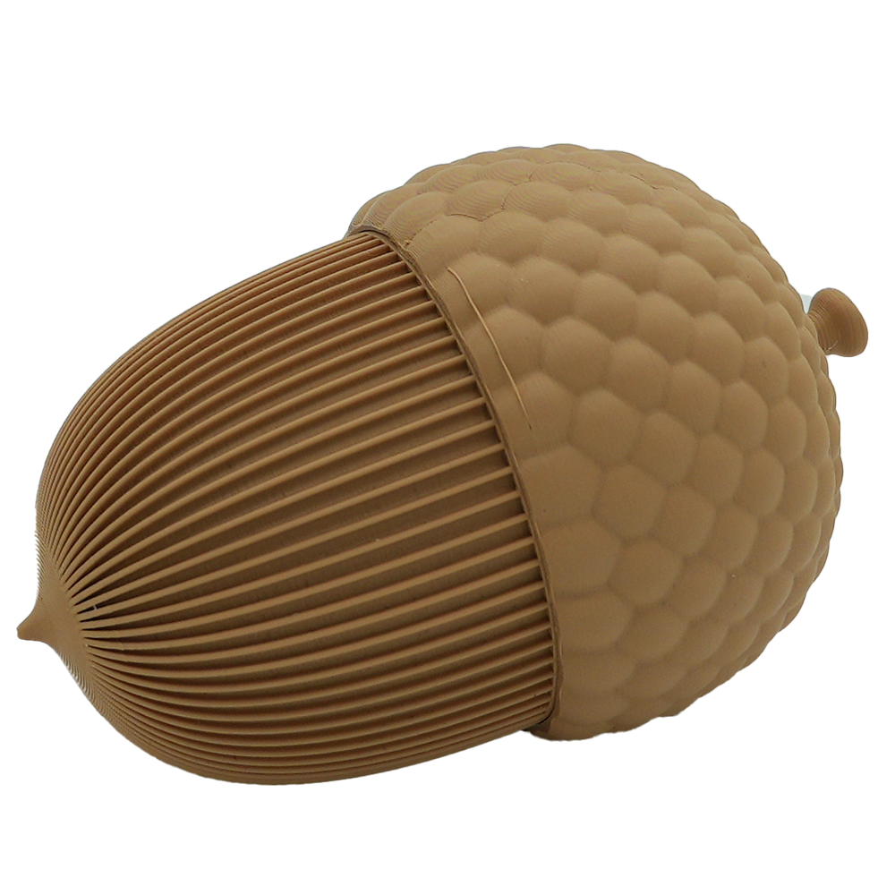 Autumn acorn