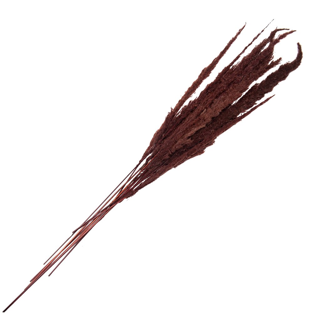 Droogboeket 100 cm bruin