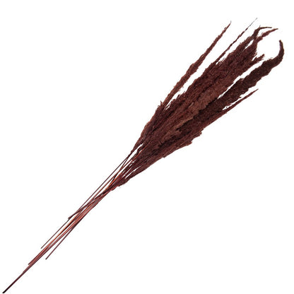Droogboeket 100 cm bruin