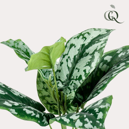 Artificial plant - Scindapsus Pictus - Lucky plant - 30 cm
