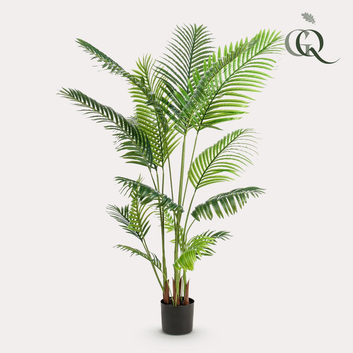 Kunstplant Howea Forsteriana 160 cm paradijspalm