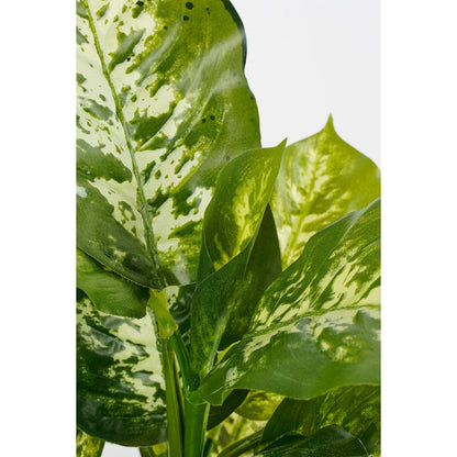 Kunstplant Dieffenbachia 40 cm groen