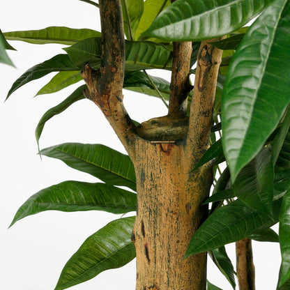 Kunstplant Pachira 175 cm groen