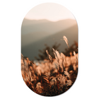 Muurovaal golden grass 140x85 cm Dibond