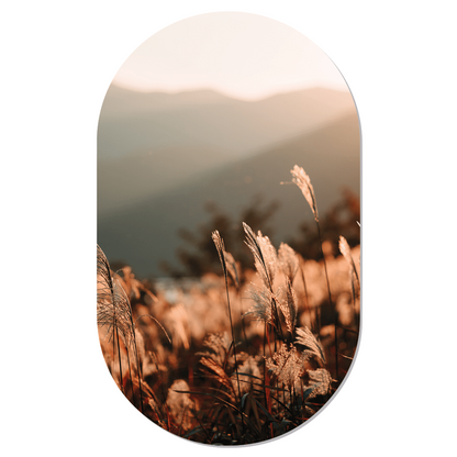 Muurovaal golden grass 140x85 cm Dibond