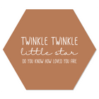 Wall hexagon twinkle twinkle terra