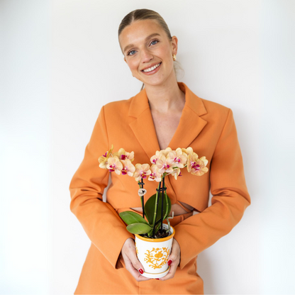 Sierpot keramiek oranje Ø9 cm