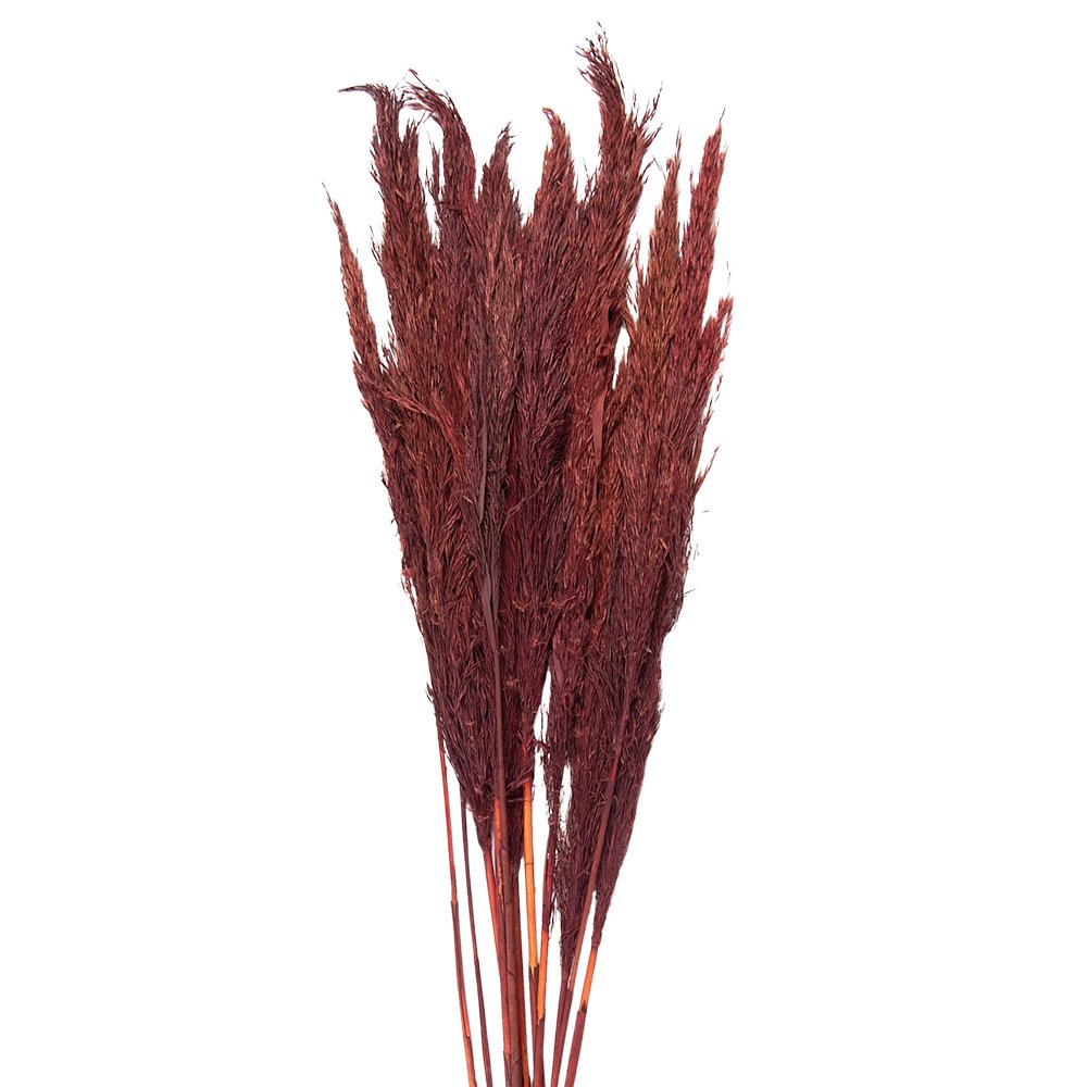 Droogboeket 100 cm rood bamboe gras