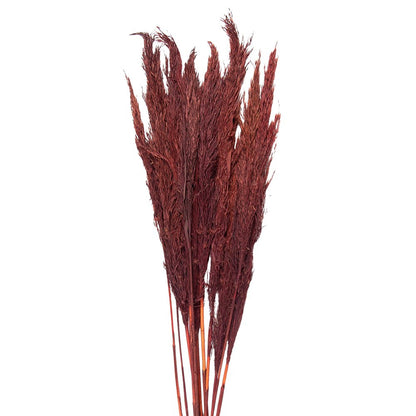 Droogboeket 100 cm rood bamboe gras