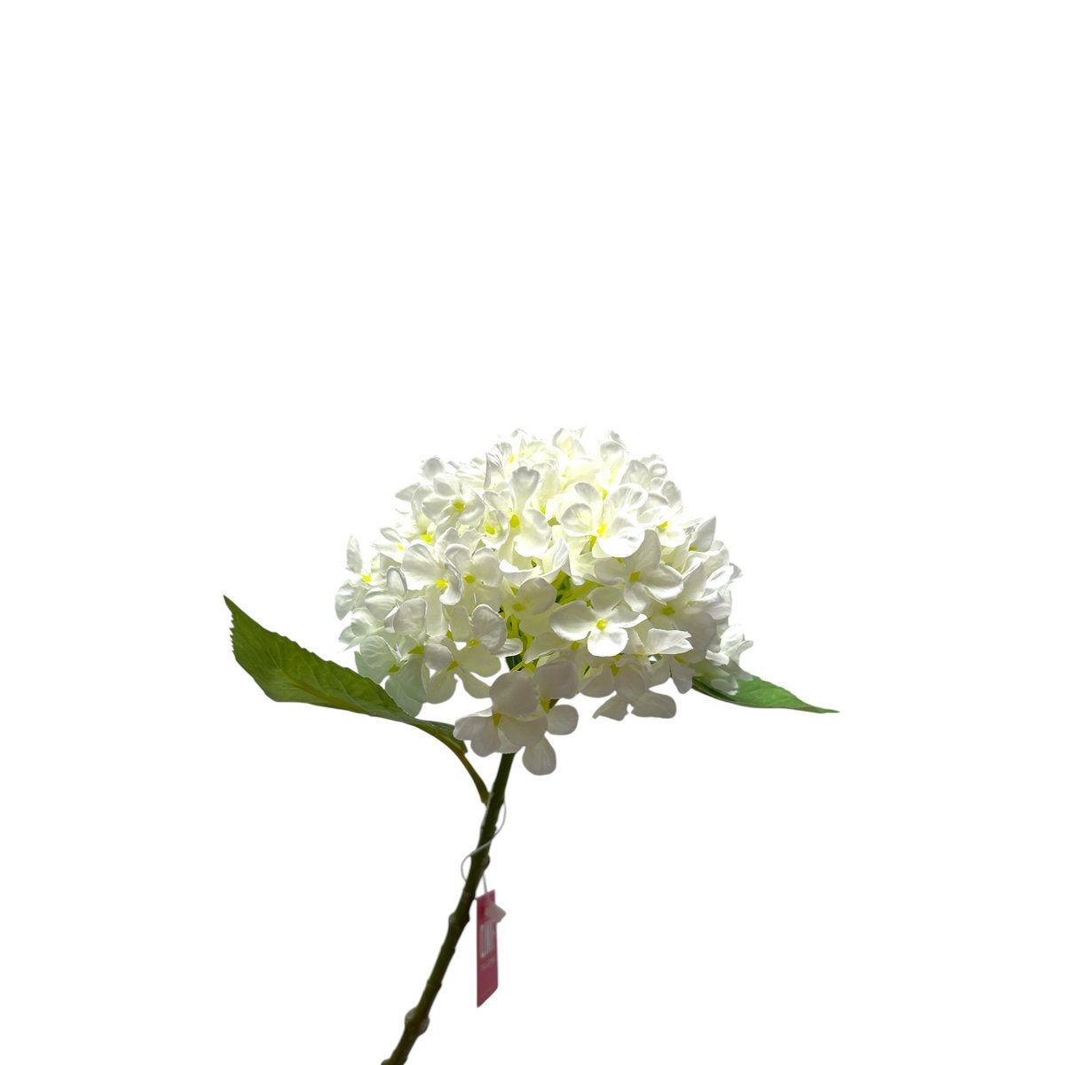 Kunstbloem Hydrangea Macrophylla Wit 50 cm